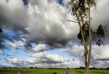 比赛回顾：欧国联上演激烈角逐！