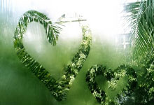 解放者杯深圳燕子山竞技乐团夺冠